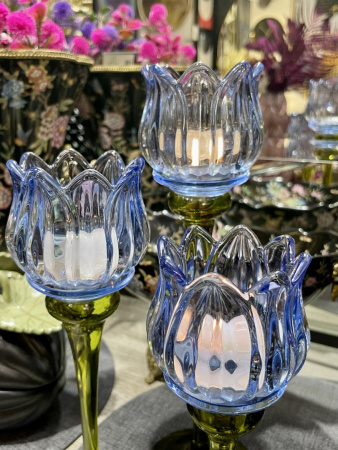 TULIP blue_7