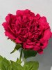 IMG_4638 (4)