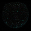 7443_27add2c95518755d11da0ca8c0a752cc