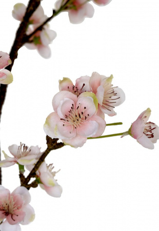 18287_A0023-PINK_13