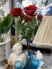 IMG_8182 (4)