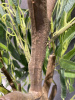 CE12-10526764 (6)