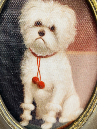 IMG_5333