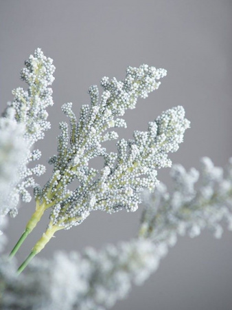 17587_SA11646-GRAY_8