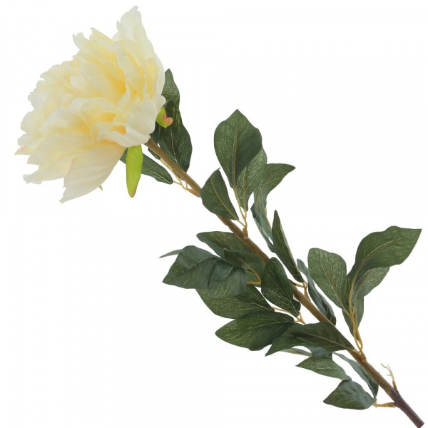 16510_7cae008b8719e95e0c1b14264ce04ec4