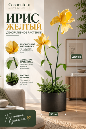 ChatGPT Image 10 сент. 2026 г., 11_25_25