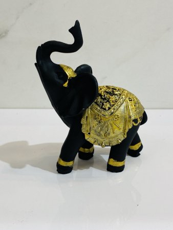 IMG_1112 (1)