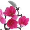 31300_bbfe7b3653acc51db99f2edee6aa8c07