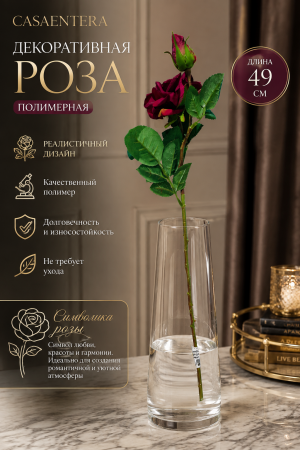 ChatGPT Image 17 авг. 2026 г., 22_21_15