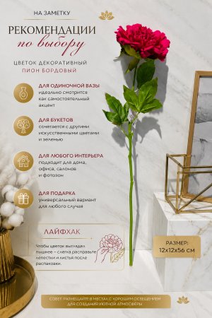 ChatGPT Image 20 июн. 2026 г., 14_55_48