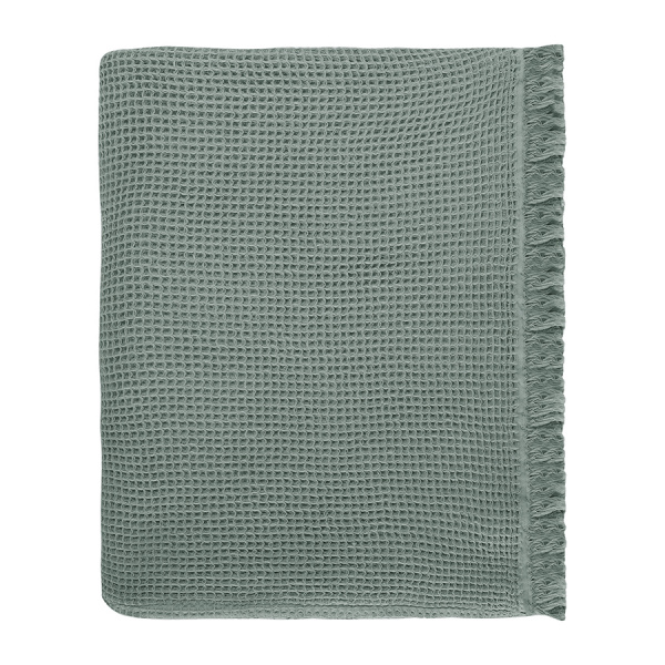 TK24-BS0003_10