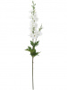 7143_A0027-WHIT