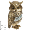 20560_60135ad9a3ea9217dcfa681898d51c86