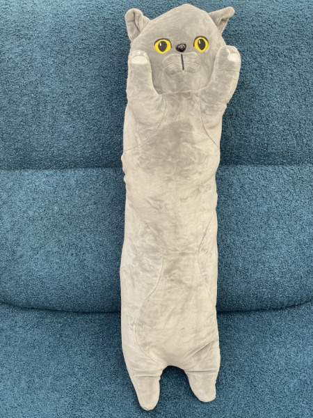 10575527_1