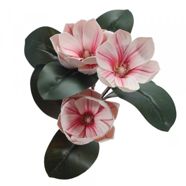 20072_1db8a4c61c207f53639fcb347827f6bf