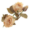 14972_02915ba204fd7e66eaa36bd5259f2323