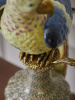 16602_X3497E_8