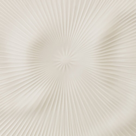 15140_2f852cd163b0c17caf0e4b289fac2e4e