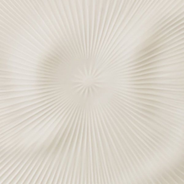 15140_2f852cd163b0c17caf0e4b289fac2e4e