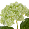 31883_d90cdd983eb11b668caf2ce8e5d7062f