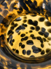 29143_70388_10