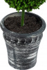 26914_29570-BLAC_3