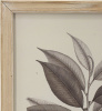 19932_SA80196-DS_2