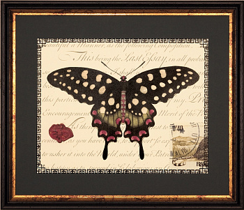 Постер в раме G&C the classical collection  RS3521PPBL/624BLG-1 450x380