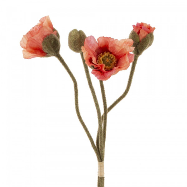 32815_8a34f132d21fb85a7e4eb004cda2f25c