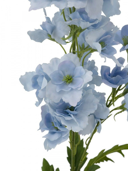 31525_A0027-BLUE_4