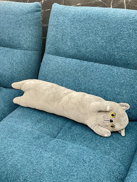 10575527_2