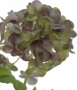 31379_A0012-GRPL_7