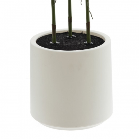 54955_5329b68e356656e098d948011b4a54af