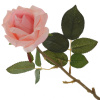 16298_a971085fefd618852446cbc5b039b140