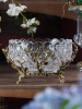 20956_GLASS_4
