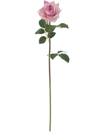 8306_A0005-PINK