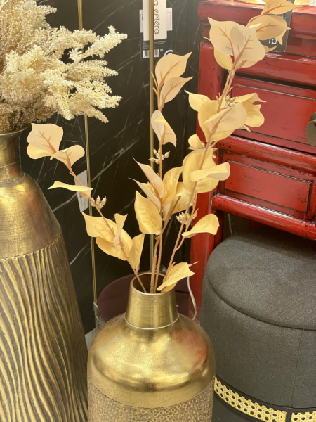 IMG_6157 (1)
