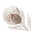 3334_223f54f235f16ad4857d982faf2a1bc2