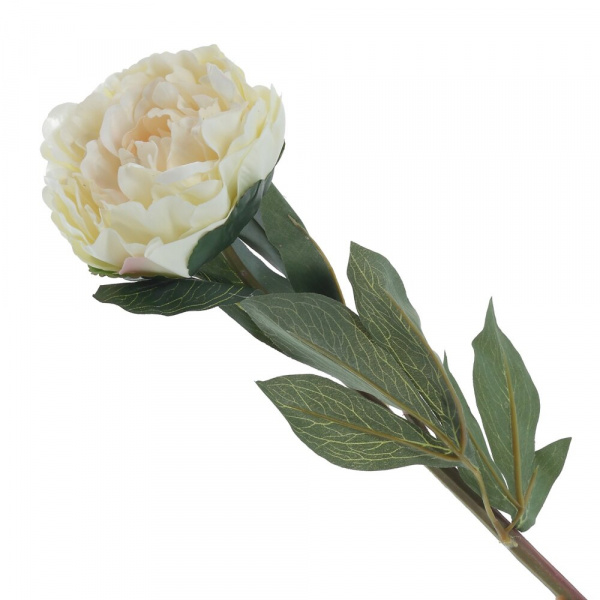 16549_52acabf495d55d9c208a27206fa2459c