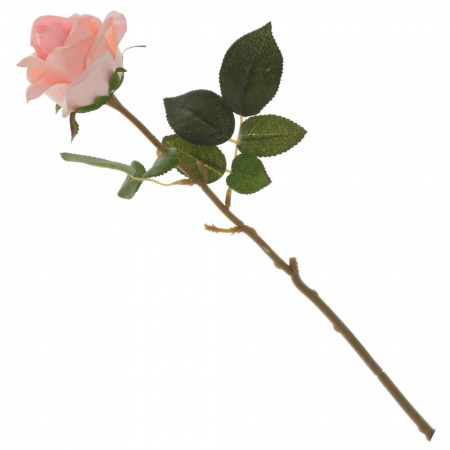 16499_5e6b6e6185c53f717ab07f16792fe40d