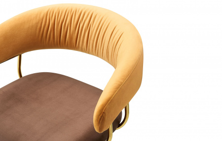 BA-503-DarkYellow-Brown-Gold_4
