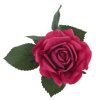 16557_4c943a5ee486ecdbe4898c933fddc481