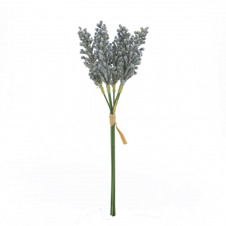 17575_SA11646-GRAY