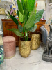 57-2882_2