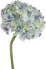 19526_58148-BLUE