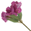 16365_5ebc68d7cdfbb836f5210ac638158b31