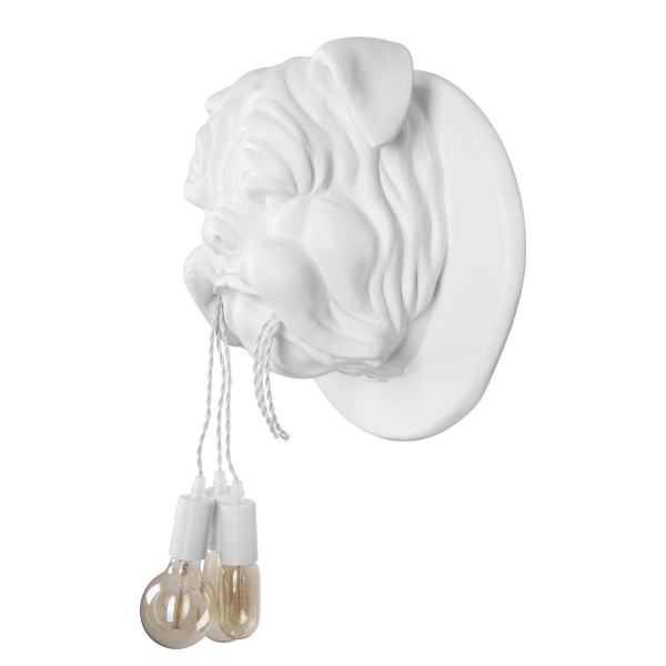 10177 White_5