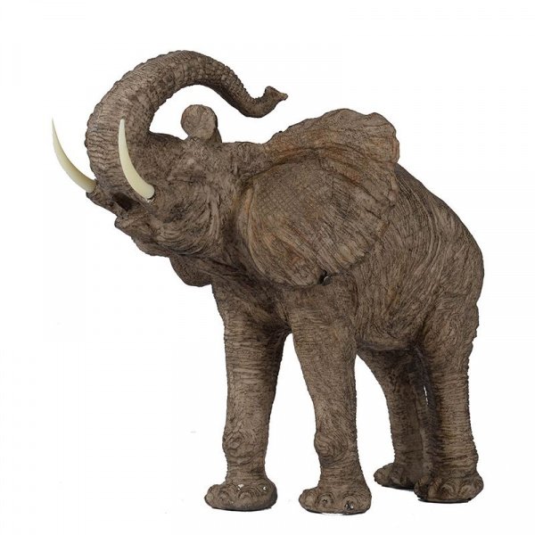 26072_73638_1