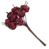 48492_17d1c9c6e5dcf8ed3876facdf14ccbbf