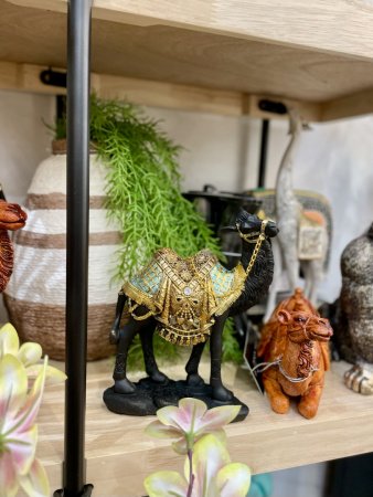 IMG_8666 (3)